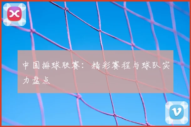 中国排球联赛：精彩赛程与球队实力盘点