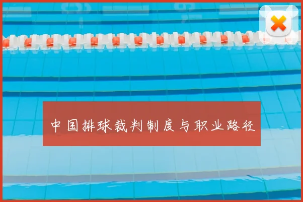 中国排球裁判制度与职业路径