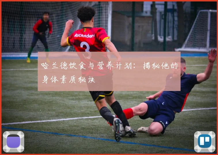 哈兰德饮食与营养计划：揭秘他的身体素质秘诀