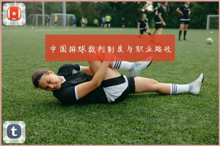 中国排球裁判制度与职业路径