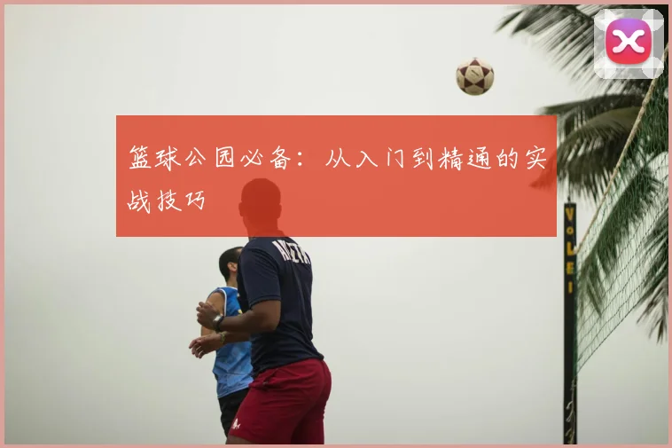 篮球公园必备：从入门到精通的实战技巧