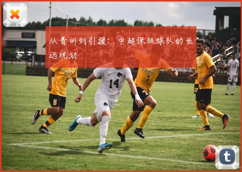 从青训到引援：中超保级球队的长远规划