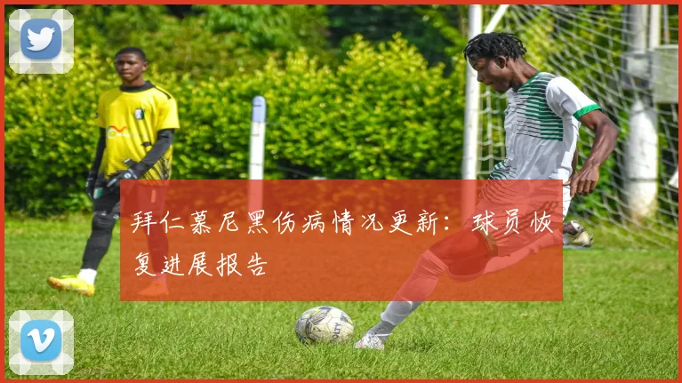 拜仁慕尼黑伤病情况更新：球员恢复进展报告
