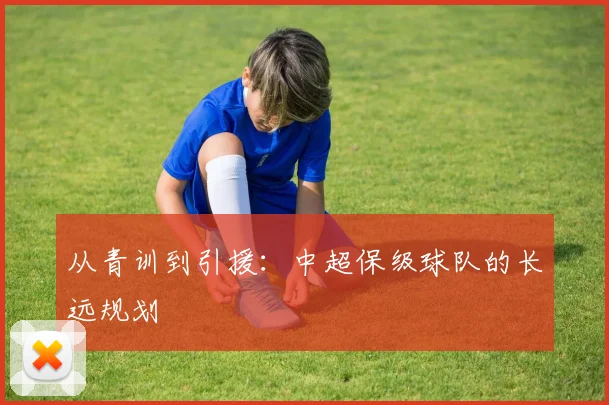 从青训到引援：中超保级球队的长远规划